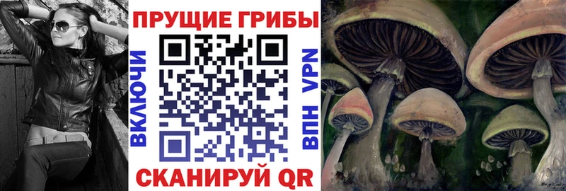Псилоцибиновые грибы Magic Shrooms  закладки  Евпатория 