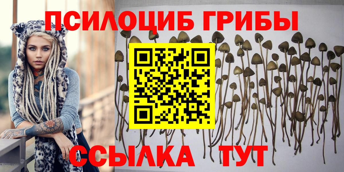 Галлюциногенные грибы мухоморы Евпатория